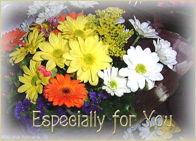 salut et bienvenue!!